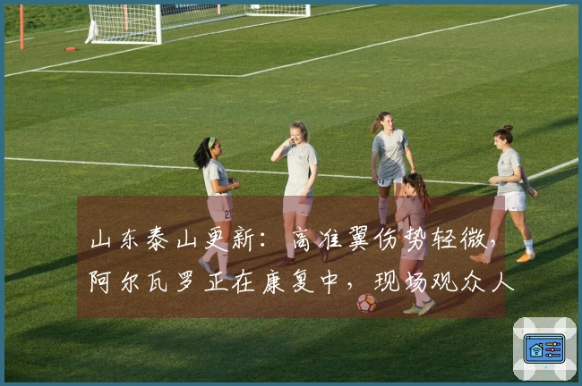 山东泰山更新：高准翼伤势轻微，阿尔瓦罗正在康复中，现场观众人数达45069人